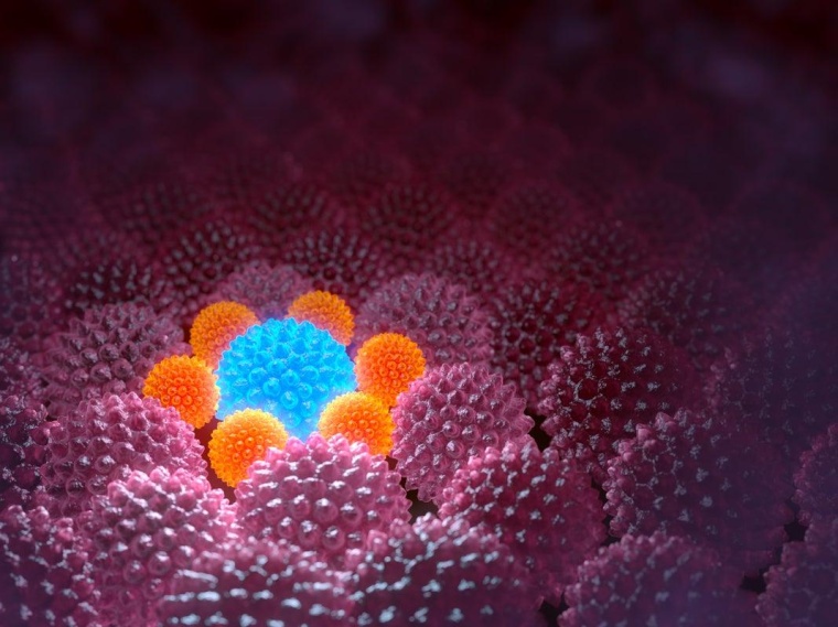 Foto. Getty Images 184313632