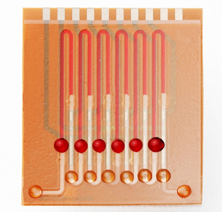 Multiplex-Chip eines Freiburger Forschungsteams: Auf diesem Chip könnten...