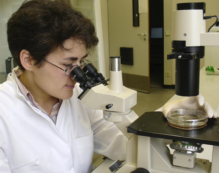 Getty Images 115864438