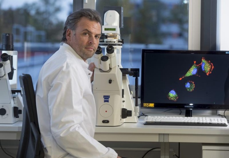 Prof. Nils Cordes, Leiter des Bereichs Strahlenbiologie am OncoRay, erforscht...