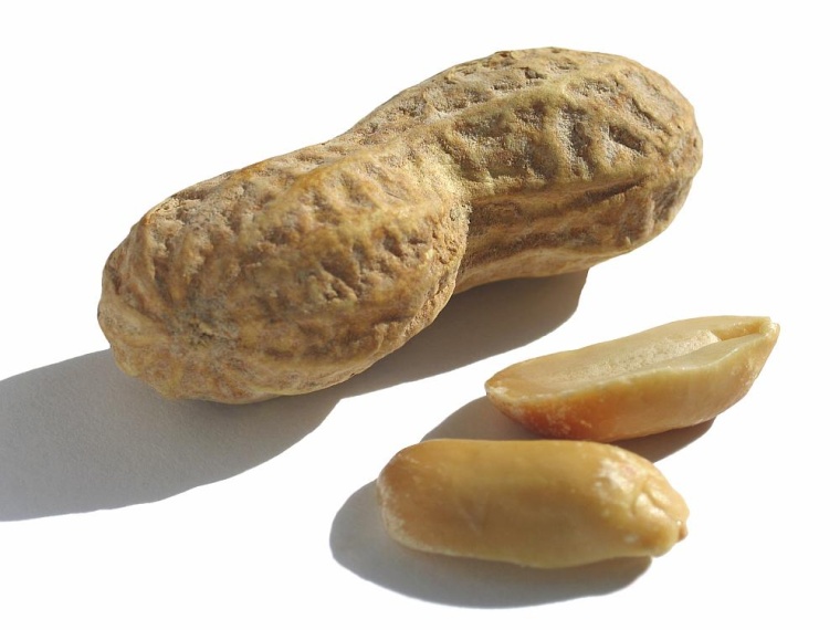 Foto: Getty Images 172227800