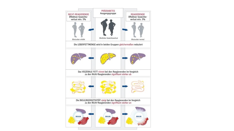 Remission des Prädiabetes. Foto: DZD/IDM