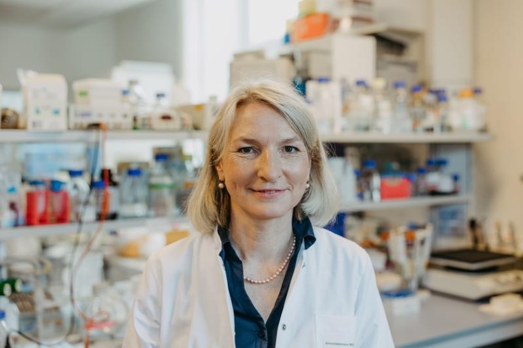 Neuer Held der frühkindlichen Immunabwehr identifiziert