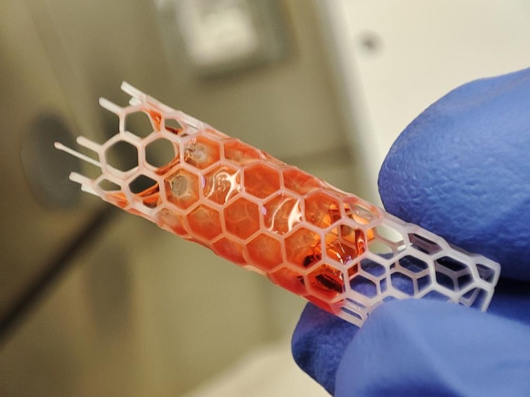 Die 3D-gedruckte Gerüststruktur, an der die menschlichen Zellen wachsen...