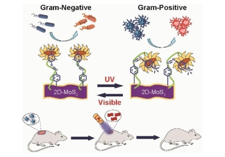 Umschaltbares Bakterizid, Foto: Wiley-VCH