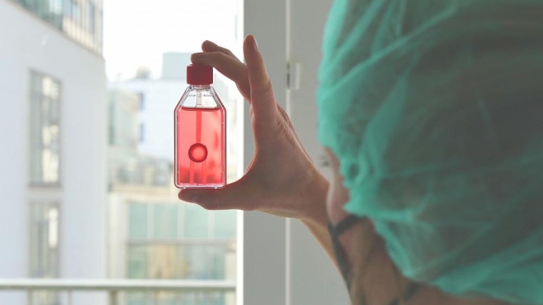 12 Prozent mehr Gewebespender*innen: Die Gewebespende ist in Deutschland weiter...