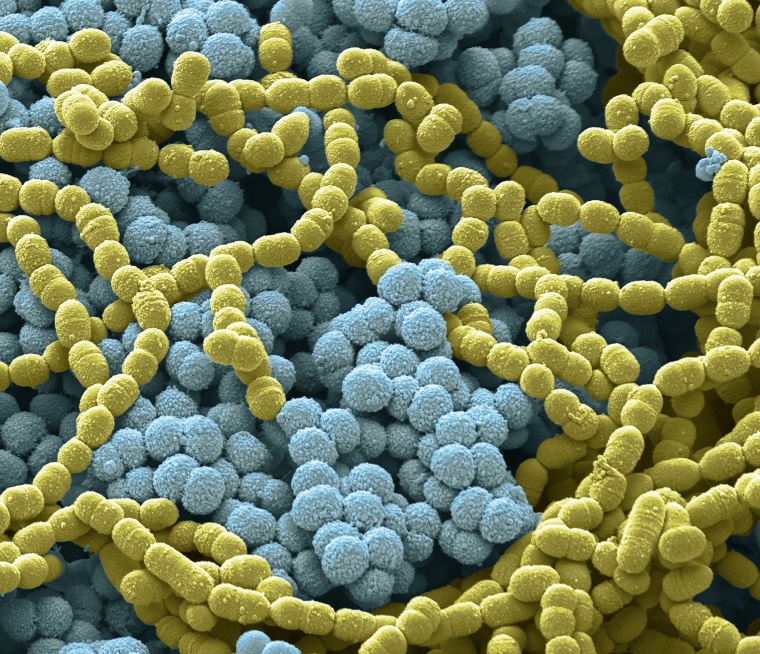 Foto: Wiley / Getty images