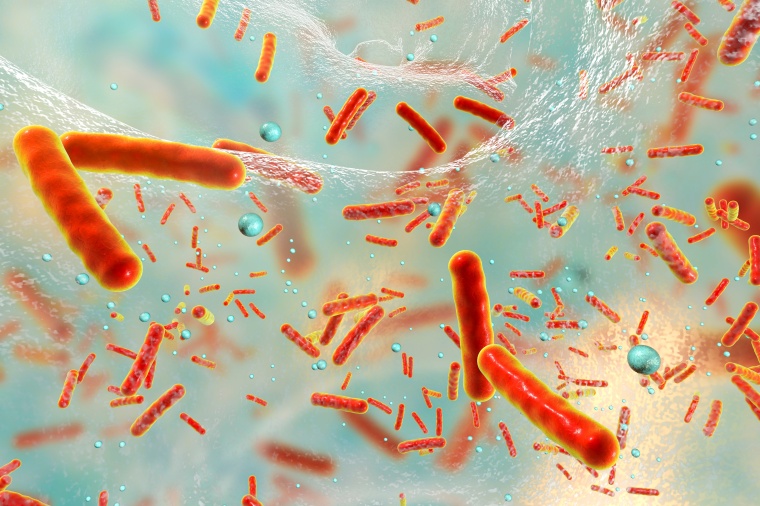 Antibiotikaresistente Bakterien in einem Biofilm Foto: Adobe Stock/Dr_Microbe