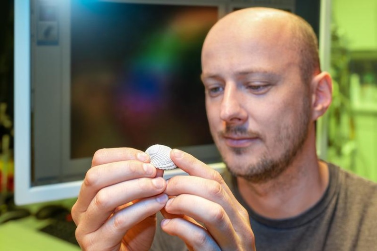 Ein Forschungsteam um den Jenaer Neurobiologen Manuel Teichert untersuchte, wie...