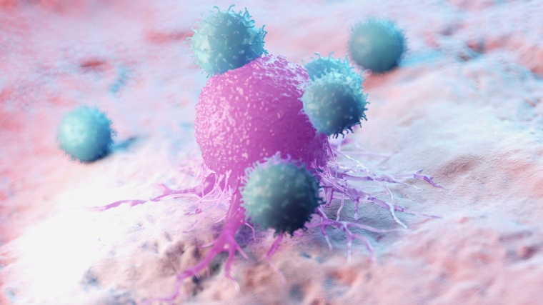 Foto: Adobe/Sebastian Kaulitzki