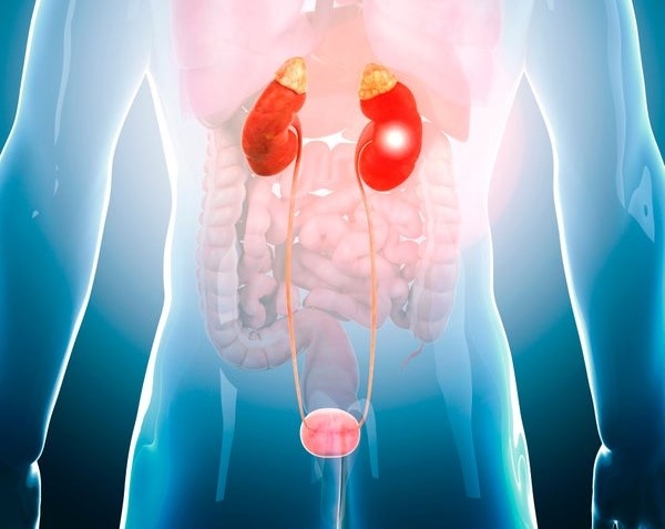 Foto: Wiley Getty Images