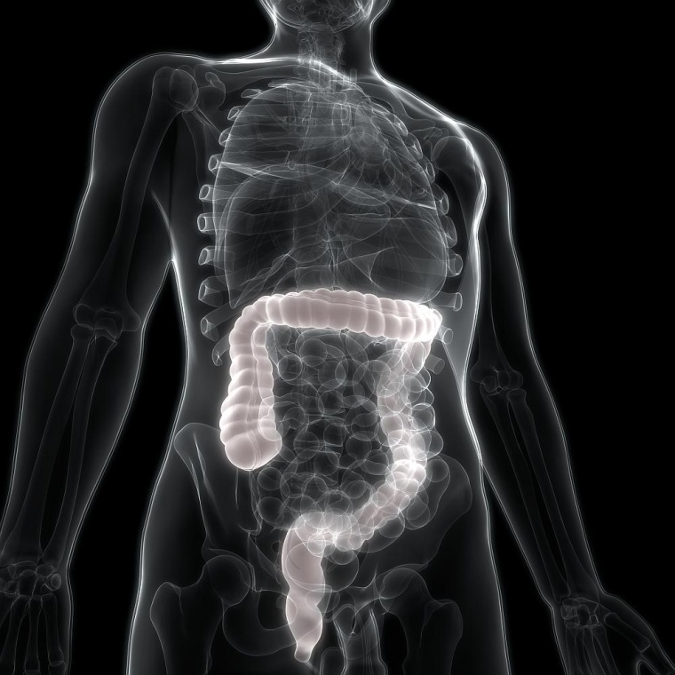 Foto: Wiley / Getty Images 1001880656