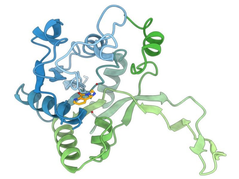 3D-Modell der Interaktion zwischen dem Enzym IspD aus Pseudomonas aeruginosa...