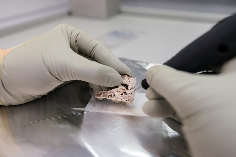 Aus den Knochen und Zähnen von Menschen, die bereits vor Jahrtausenden gelebt...