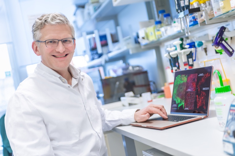 Der Neurologe Frank Winkler forscht an der Medizinischen Fakultät Heidelberg...