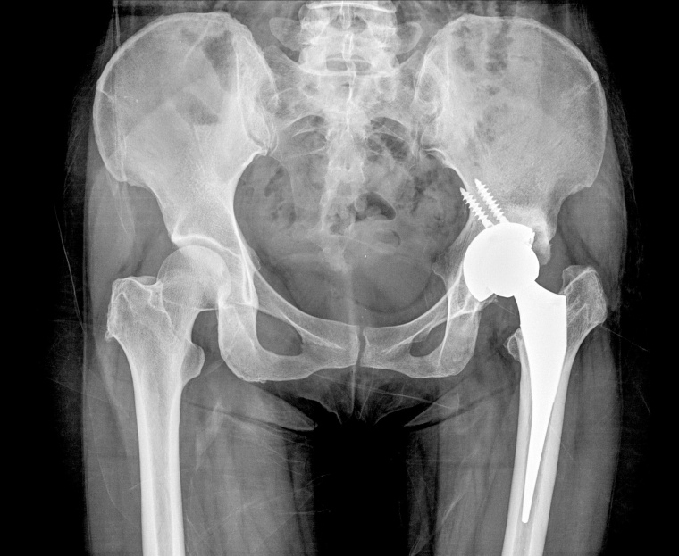 Foto: Wiley Shutterstock