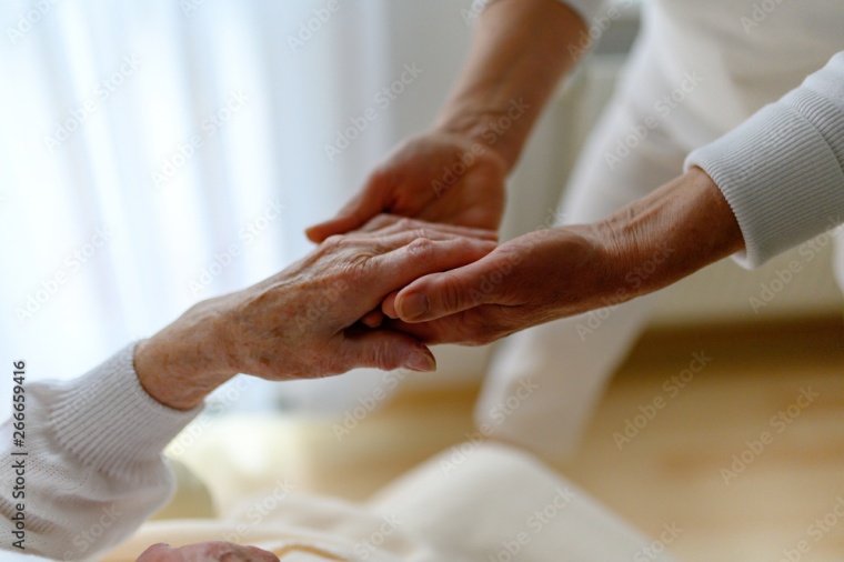 Foto: Wiley / Adobe Stock