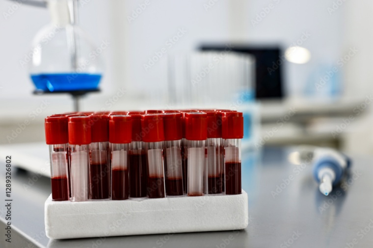 Foto: Wiley Adobe Stock