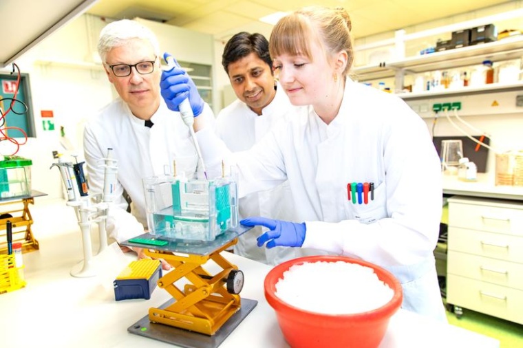 Unterstützen die exzellente Ausbildung für den wissenschaftlichen Nachwuchs...