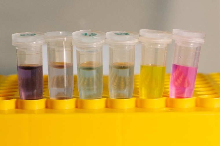 Kohlenstoff-Nanoröhren sind bunt. Ihre Farbpracht offenbaren sie aber nur,...