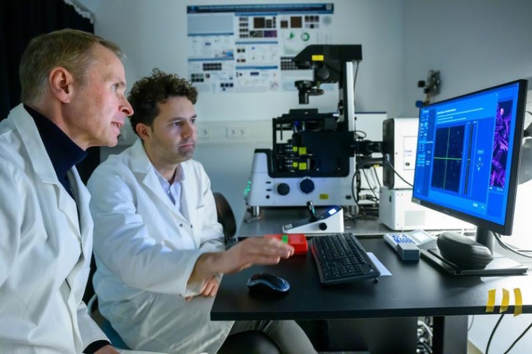 Prof. Haucke im Labor, Foto: David Ausserhofer