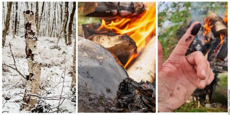 Forscher haben Birkenpech mit Methoden hergestellt, die schon Neandertaler...