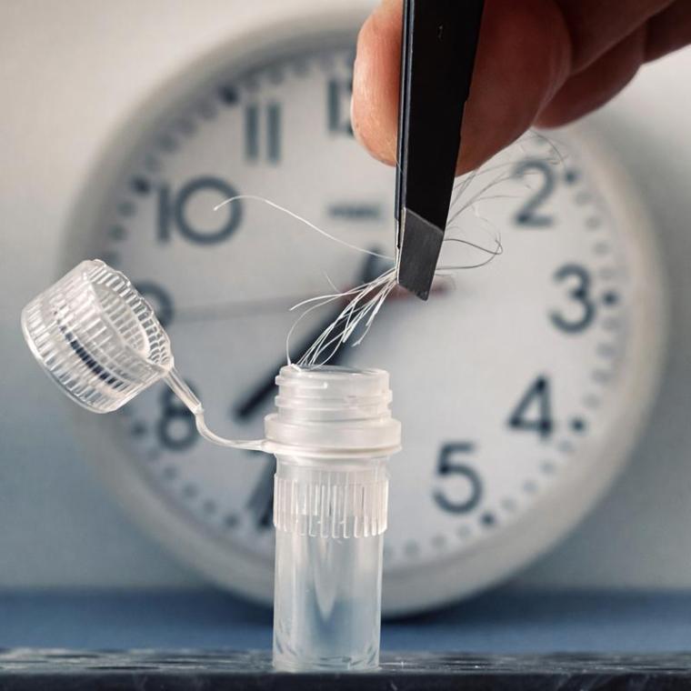 Eine Haarprobe reicht aus, um den individuellen Takt der inneren Uhr zu...