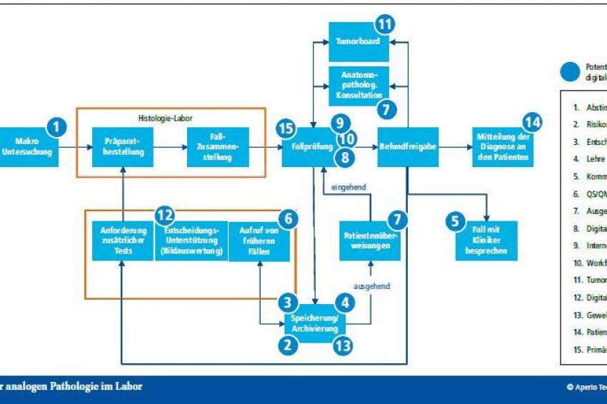 Digitale Pathologie Arbeitsprozesse Optimieren Und Rationalisieren Management Krankenhaus